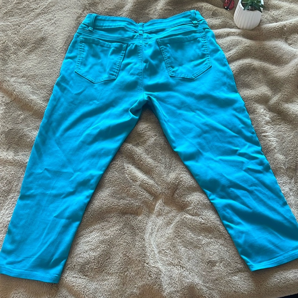 Nygard Vibrant Blue Ankle Skinny Pants - Size 14 - Picture 13 of 16